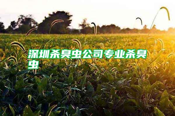 深圳殺臭蟲公司專業殺臭蟲