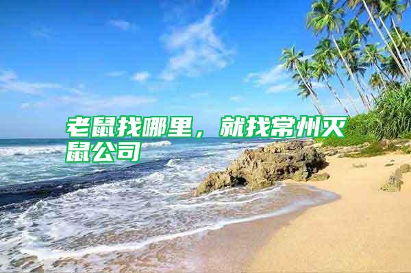 老鼠找哪里，就找常州滅鼠公司