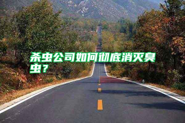 殺蟲公司如何徹底消滅臭蟲？