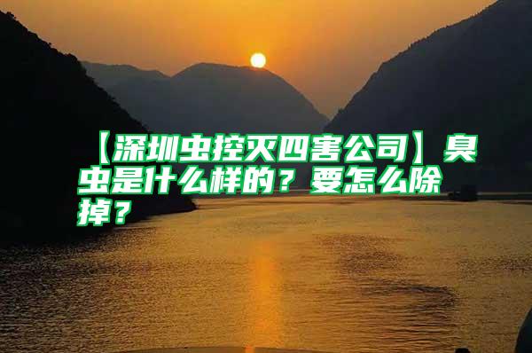 【深圳蟲(chóng)控滅四害公司】臭蟲(chóng)是什么樣的？要怎么除掉？