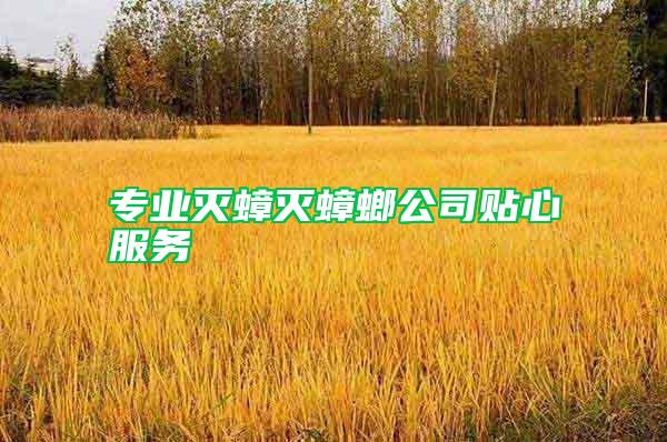 專業(yè)滅蟑滅蟑螂公司貼心服務