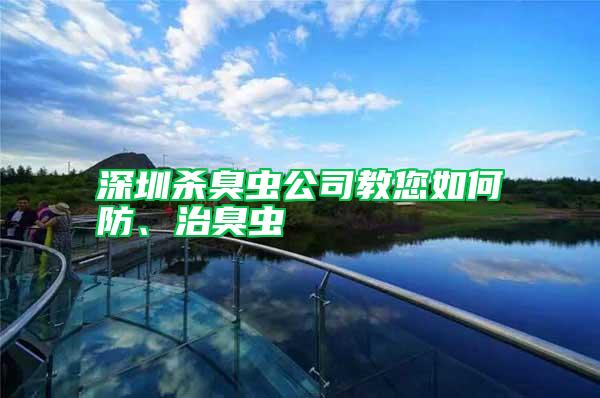 深圳殺臭蟲公司教您如何防、治臭蟲
