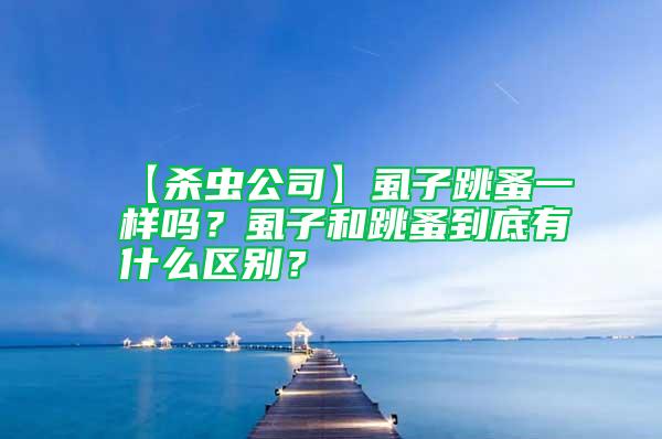 【殺蟲公司】虱子跳蚤一樣嗎？虱子和跳蚤到底有什么區別？