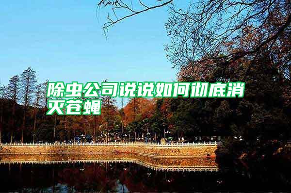 除蟲(chóng)公司說(shuō)說(shuō)如何徹底消滅蒼蠅