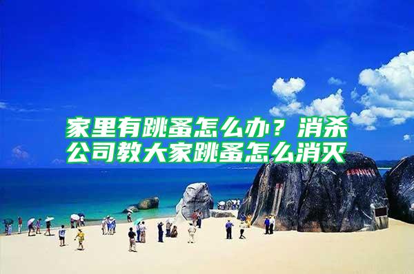 家里有跳蚤怎么辦？消殺公司教大家跳蚤怎么消滅
