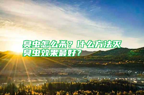 臭蟲怎么殺？什么方法滅臭蟲效果最好？