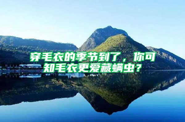穿毛衣的季節到了，你可知毛衣更愛藏螨蟲？