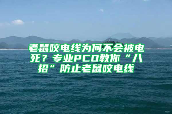 老鼠咬電線為何不會(huì)被電死？專業(yè)PCO教你“八招”防止老鼠咬電線