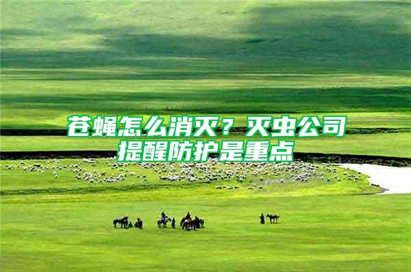 蒼蠅怎么消滅？滅蟲公司提醒防護是重點