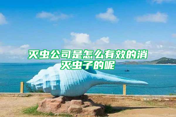 滅蟲(chóng)公司是怎么有效的消滅蟲(chóng)子的呢