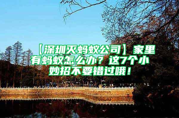 【深圳滅螞蟻公司】家里有螞蟻怎么辦？這7個小妙招不要錯過哦！