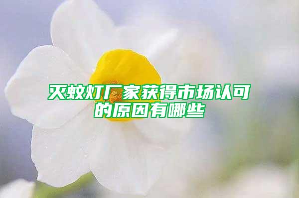 滅蚊燈廠家獲得市場(chǎng)認(rèn)可的原因有哪些