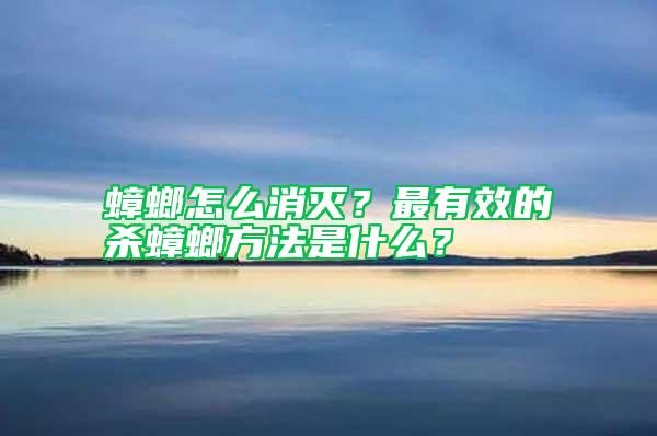 蟑螂怎么消滅？最有效的殺蟑螂方法是什么？