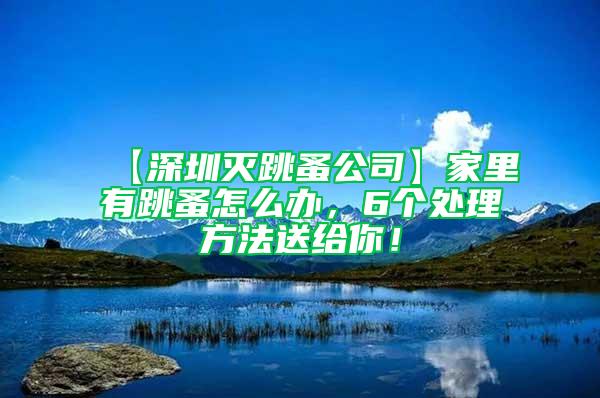 【深圳滅跳蚤公司】家里有跳蚤怎么辦，6個處理方法送給你！