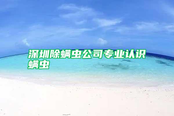 深圳除螨蟲(chóng)公司專業(yè)認(rèn)識(shí)螨蟲(chóng)