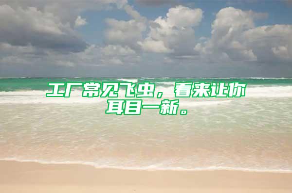工廠常見飛蟲，看來(lái)讓你耳目一新。