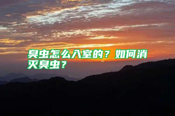 臭蟲怎么入室的？如何消滅臭蟲？