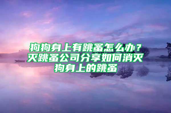 狗狗身上有跳蚤怎么辦？滅跳蚤公司分享如何消滅狗身上的跳蚤