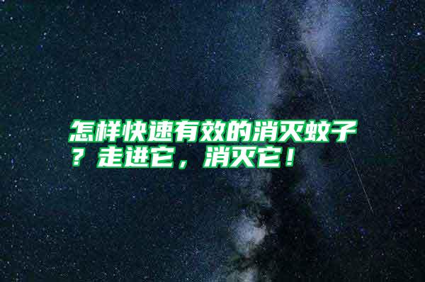 怎樣快速有效的消滅蚊子？走進它，消滅它！