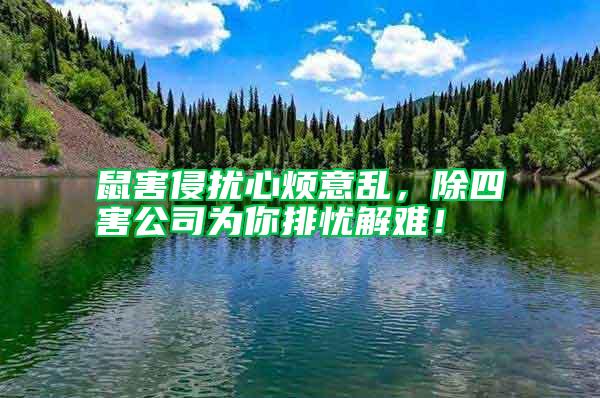 鼠害侵?jǐn)_心煩意亂，除四害公司為你排憂解難！