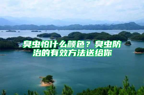 臭蟲怕什么顏色？臭蟲防治的有效方法送給你