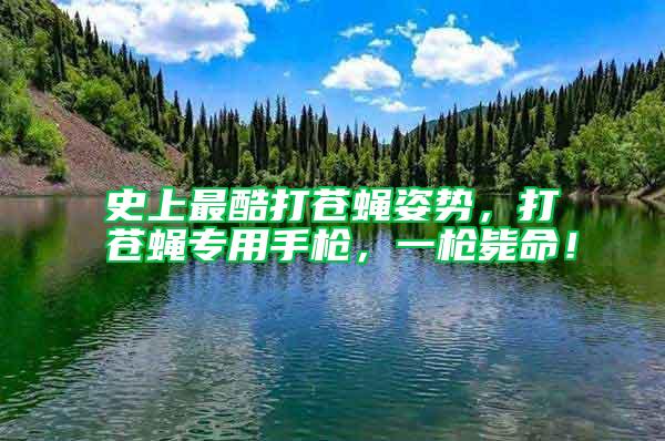 史上最酷打蒼蠅姿勢，打蒼蠅專用手槍，一槍斃命！