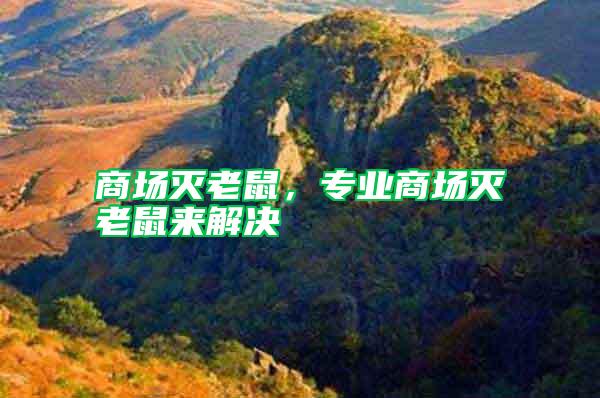 商場(chǎng)滅老鼠，專業(yè)商場(chǎng)滅老鼠來解決