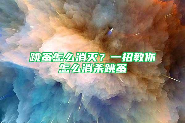 跳蚤怎么消滅？一招教你怎么消殺跳蚤
