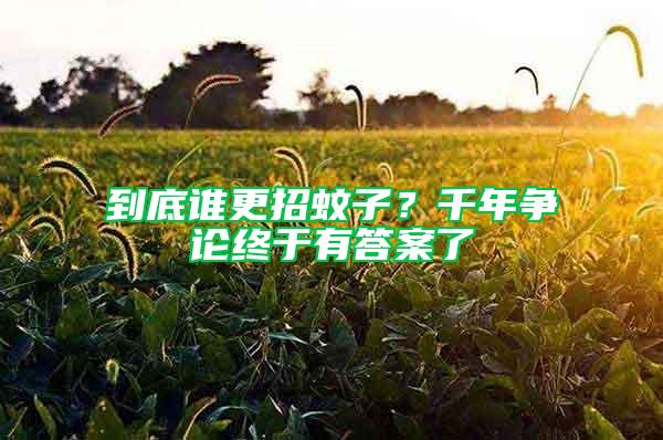到底誰更招蚊子？千年?duì)幷摻K于有答案了