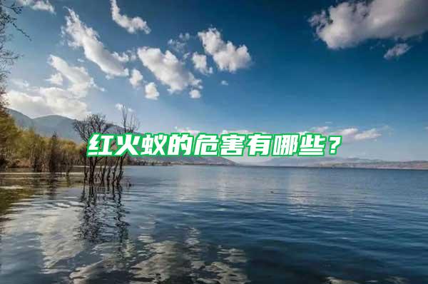 紅火蟻的危害有哪些？