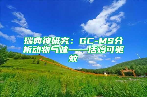 瑞典神研究：GC-MS分析動(dòng)物氣味——活雞可驅(qū)蚊