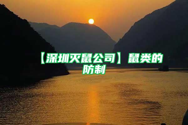 【深圳滅鼠公司】鼠類(lèi)的防制