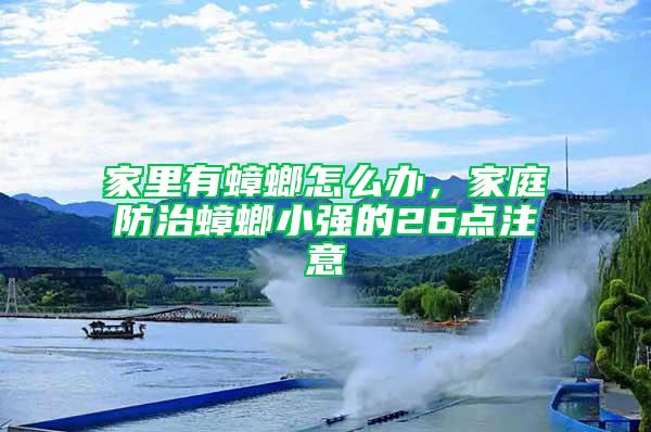 家里有蟑螂怎么辦，家庭防治蟑螂小強的26點注意