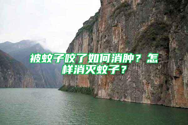 被蚊子咬了如何消腫？怎樣消滅蚊子？