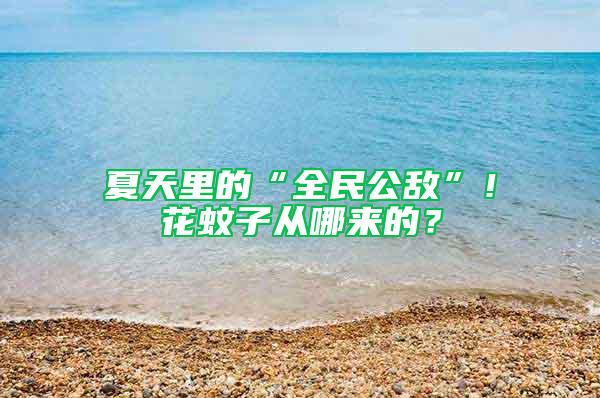 夏天里的“全民公敵”！花蚊子從哪來的？