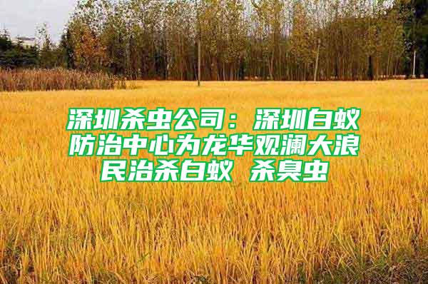 深圳殺蟲(chóng)公司：深圳白蟻防治中心為龍華觀瀾大浪民治殺白蟻 殺臭蟲(chóng)