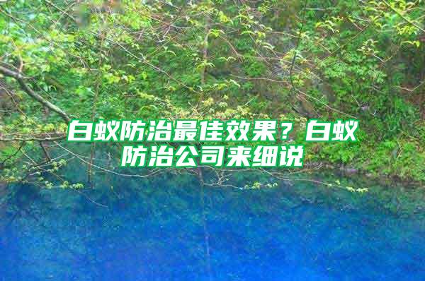 白蟻防治最佳效果？白蟻防治公司來細說