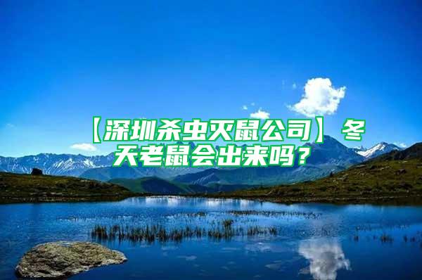 【深圳殺蟲(chóng)滅鼠公司】冬天老鼠會(huì)出來(lái)嗎？
