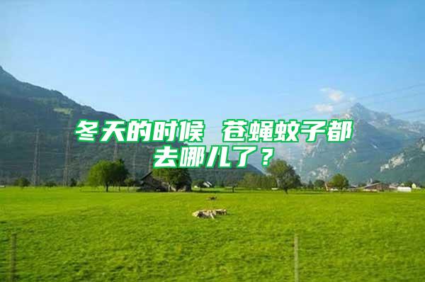冬天的時(shí)候 蒼蠅蚊子都去哪兒了？