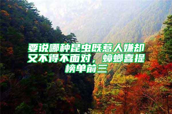 要說哪種昆蟲既惹人嫌卻又不得不面對，蟑螂喜提榜單前三