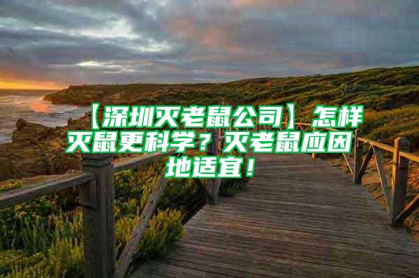 【深圳滅老鼠公司】怎樣滅鼠更科學(xué)？滅老鼠應(yīng)因地適宜！