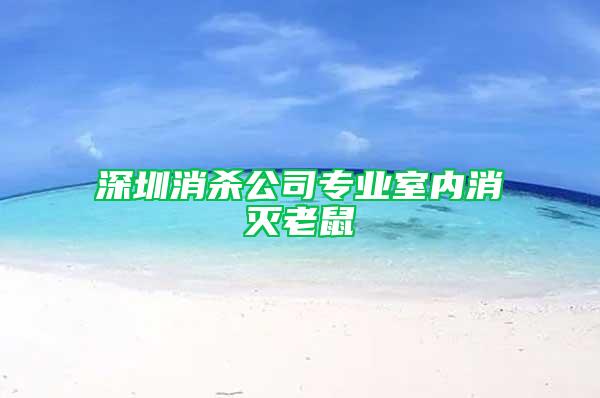 深圳消殺公司專業(yè)室內消滅老鼠