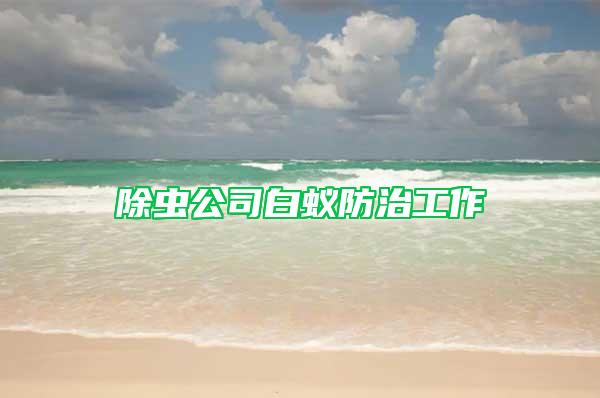 除蟲(chóng)公司白蟻防治工作