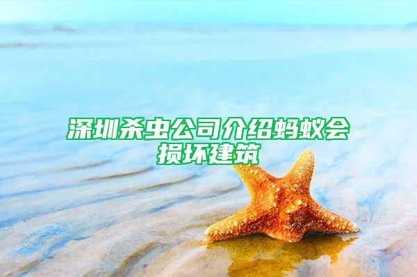深圳殺蟲公司介紹螞蟻會(huì)損壞建筑