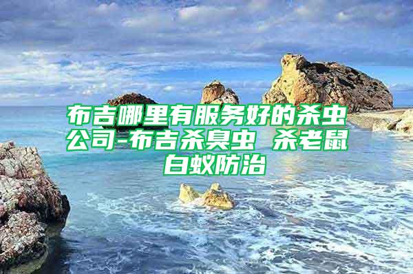 布吉哪里有服務(wù)好的殺蟲公司-布吉?dú)⒊粝x 殺老鼠 白蟻防治