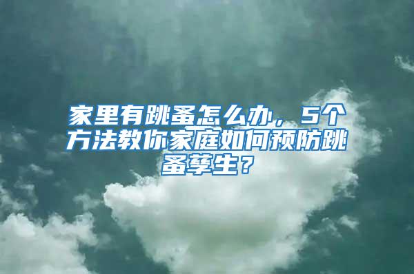 家里有跳蚤怎么辦，5個(gè)方法教你家庭如何預(yù)防跳蚤孳生？