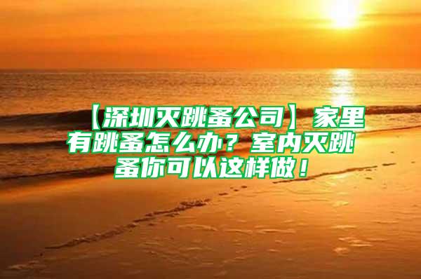 【深圳滅跳蚤公司】家里有跳蚤怎么辦？室內(nèi)滅跳蚤你可以這樣做！
