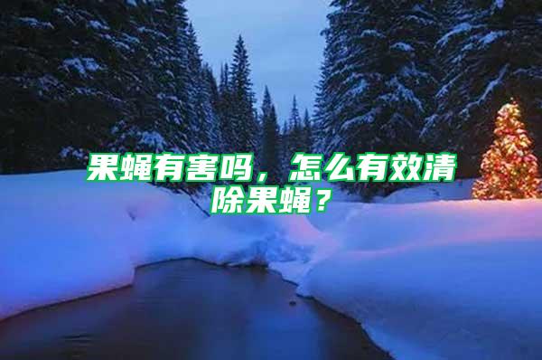 果蠅有害嗎，怎么有效清除果蠅？