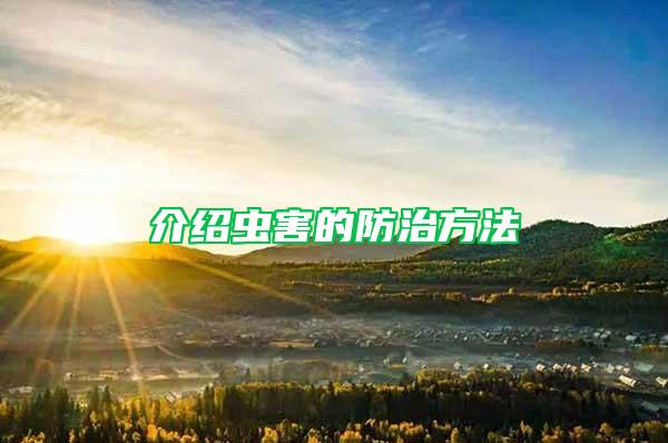 介紹蟲(chóng)害的防治方法