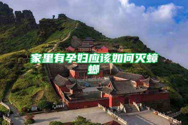 家里有孕婦應(yīng)該如何滅蟑螂